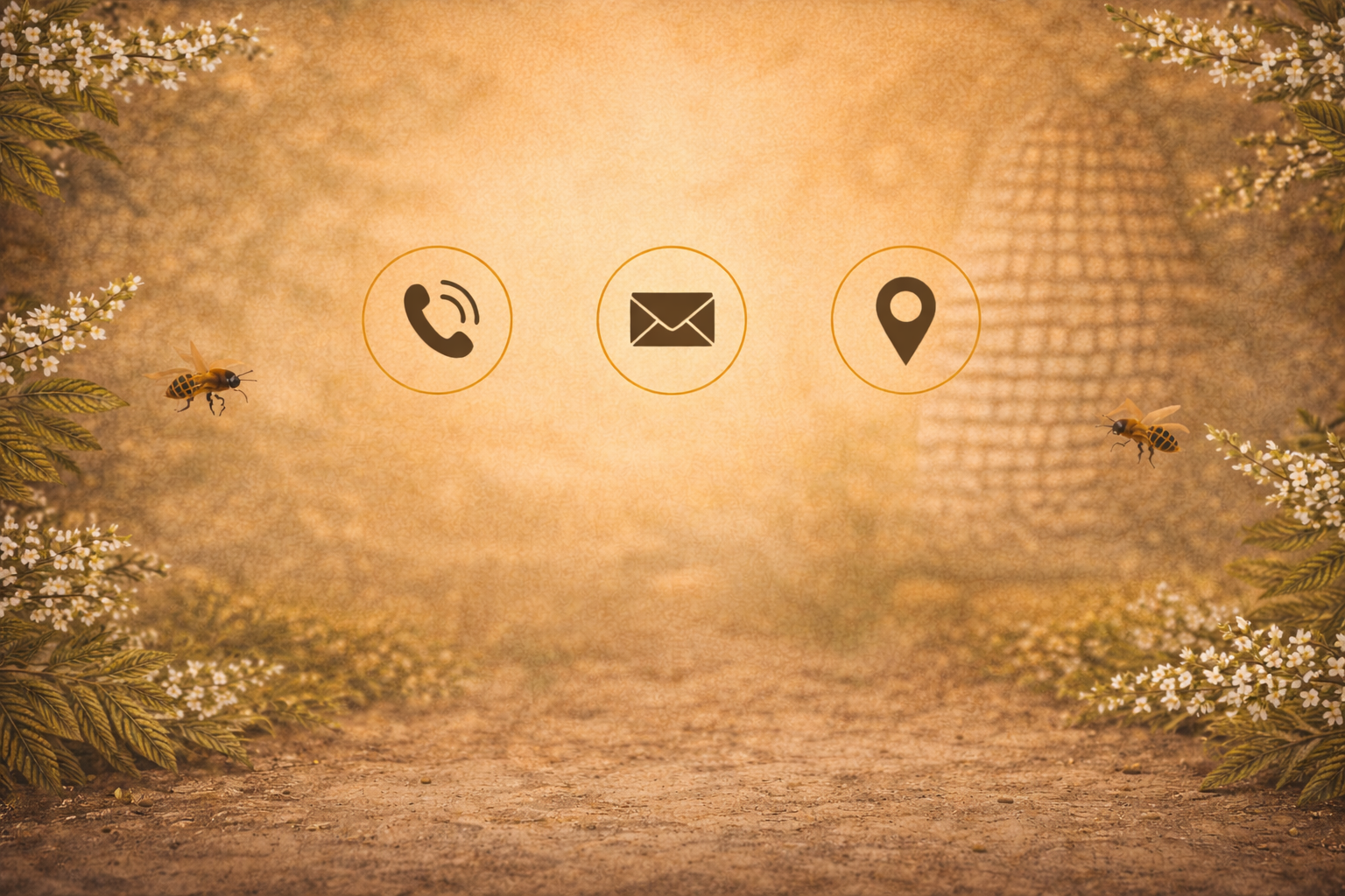Wholesale propolis